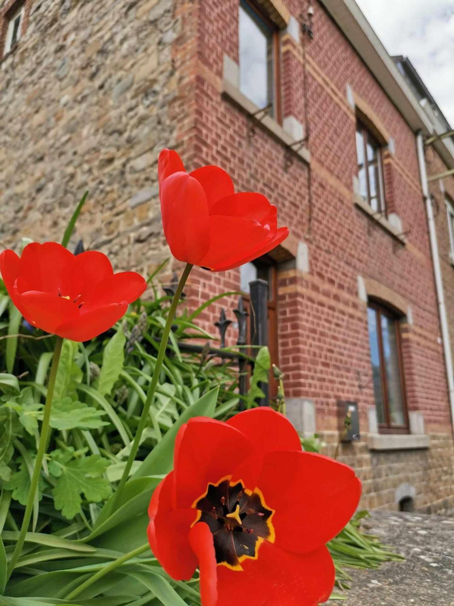 Penzion L'Echappee Belle Aywaille Exteriér fotografie